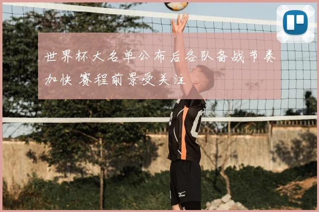 世界杯大名单公布后各队备战节奏加快 赛程前景受关注