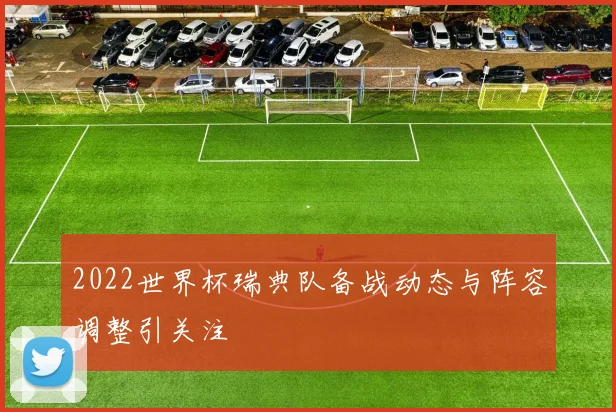 2022世界杯瑞典队备战动态与阵容调整引关注