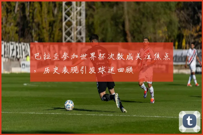 巴拉圭参加世界杯次数成关注焦点,历史表现引发球迷回顾