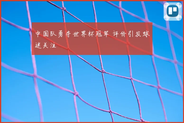 中国队勇夺世界杯冠军 评价引发球迷关注