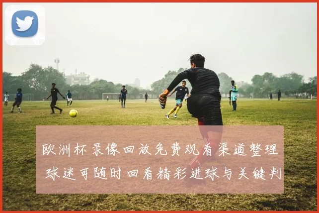 欧洲杯录像回放免费观看渠道整理 球迷可随时回看精彩进球与关键判罚