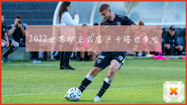 2022世界杯正式落户卡塔尔多哈
