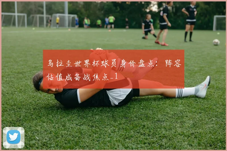 乌拉圭世界杯球员身价盘点：阵容估值成备战焦点_1