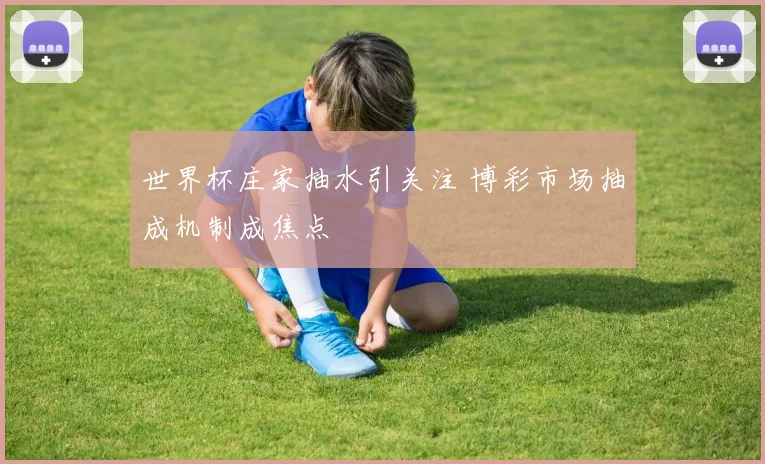 世界杯庄家抽水引关注 博彩市场抽成机制成焦点