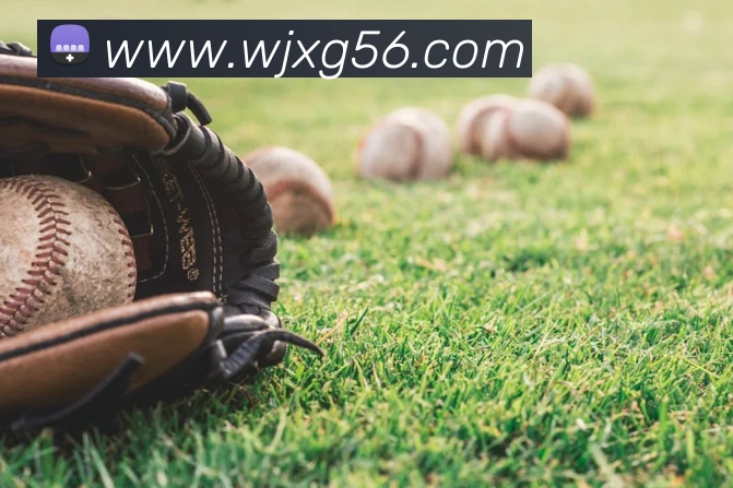 投注app官网平台生态图